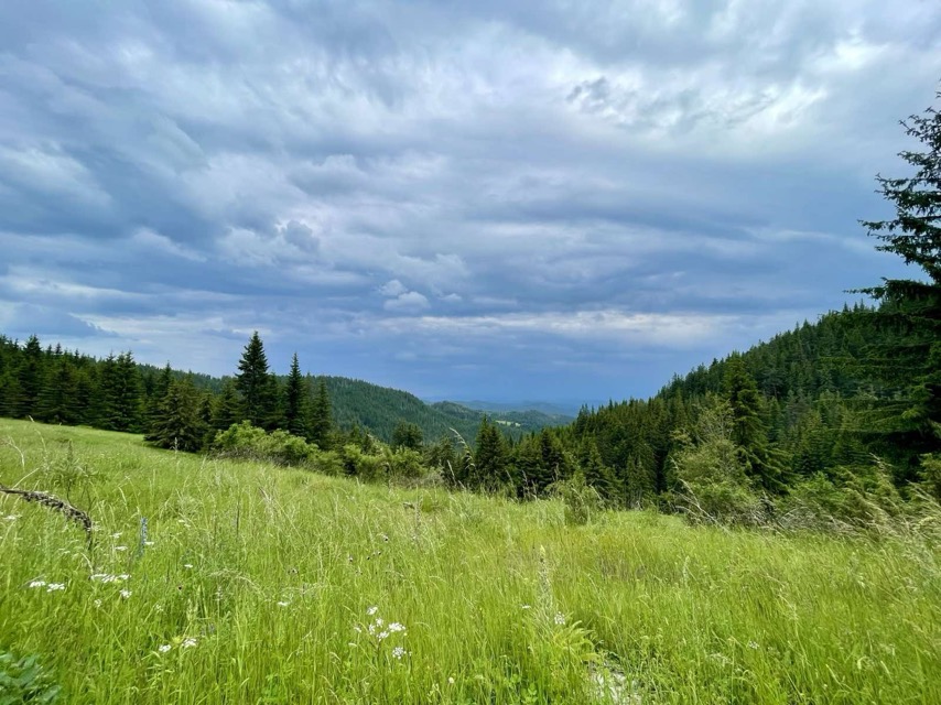 viber_изображение_2025-06-25_20-00-04-808