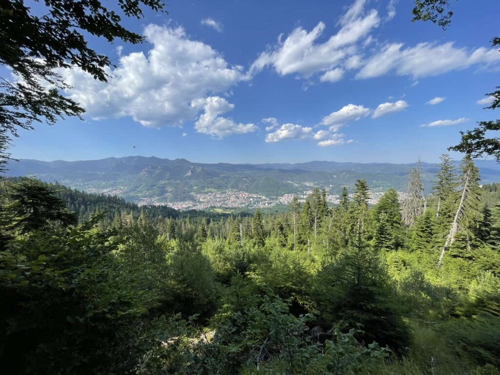 viber_изображение_2025-06-26_00-01-20-714