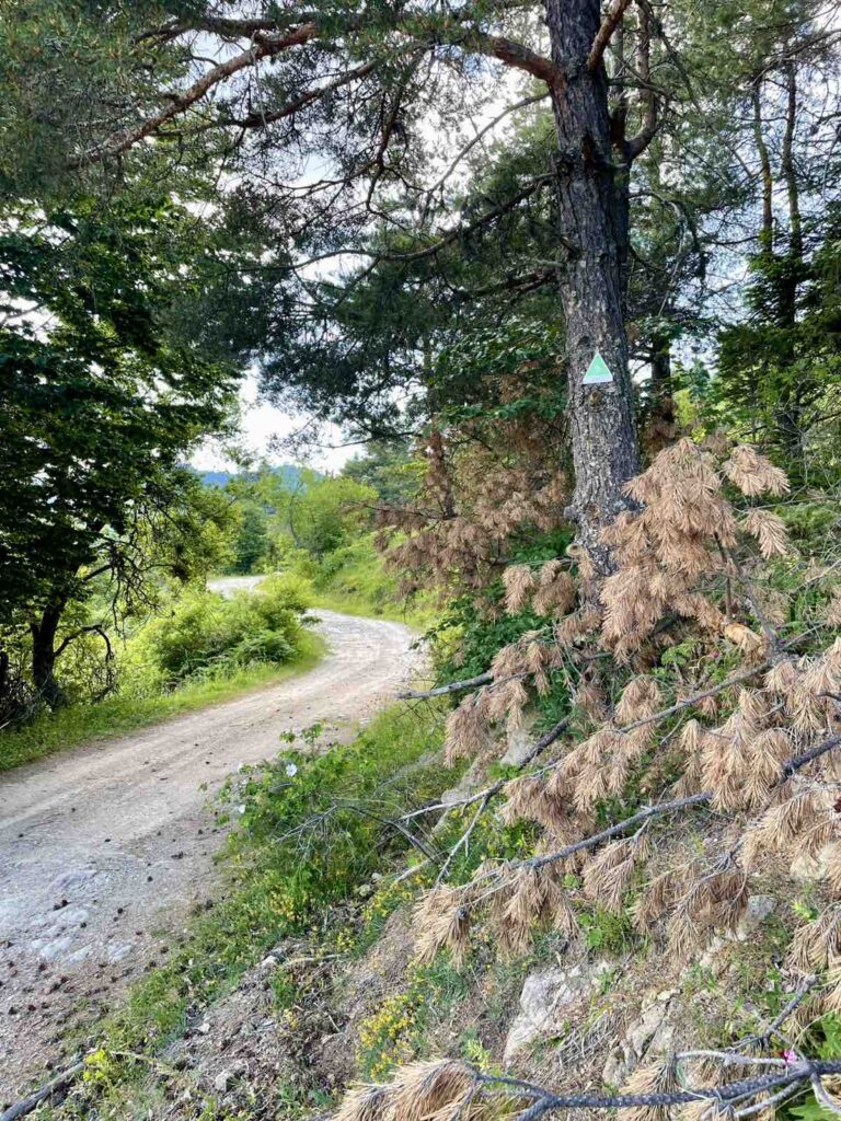 viber_изображение_2025-06-26_00-01-58-656