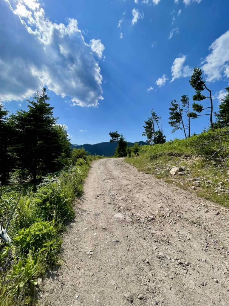 viber_изображение_2025-06-26_00-01-58-888